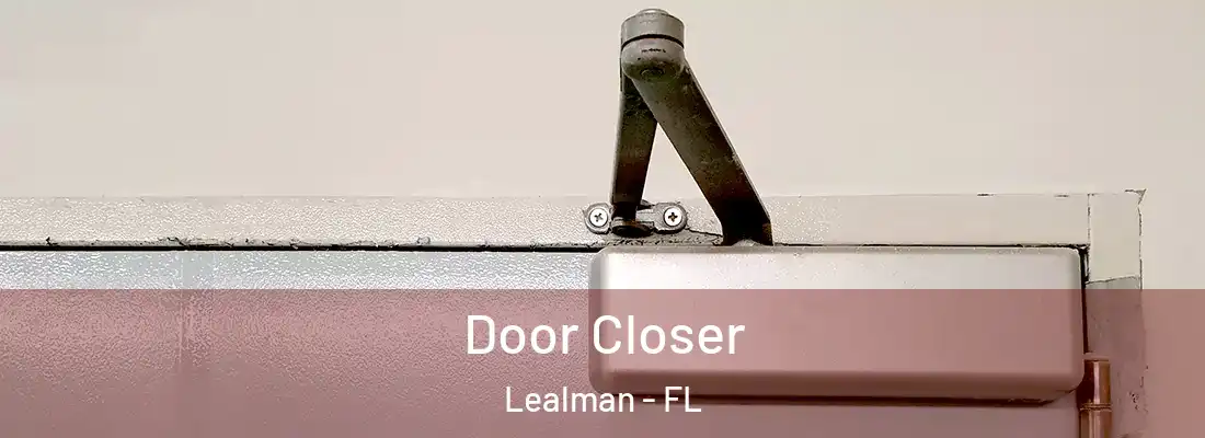 Door Closer Lealman - FL