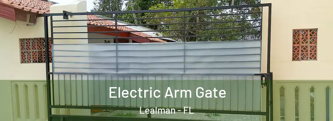  Electric Arm Gate Lealman - FL