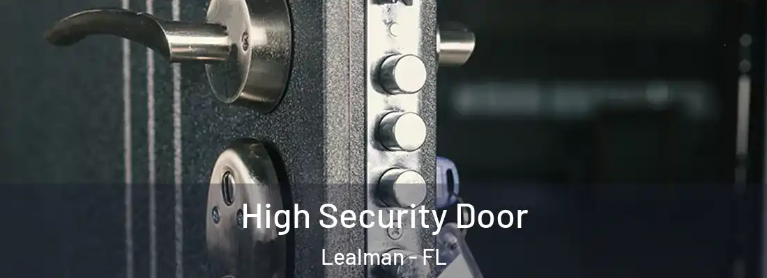  High Security Door Lealman - FL