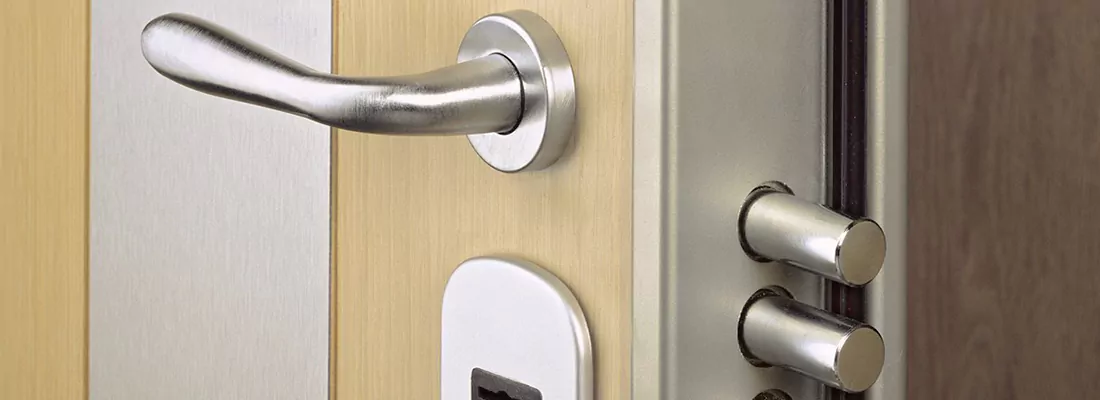 Steel and Reinforced High-Security Doors in Lealman, FL